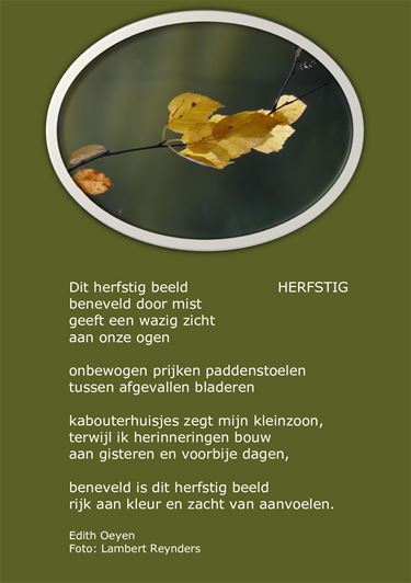 Herfstig beeld - Beringen & Leopoldsburg