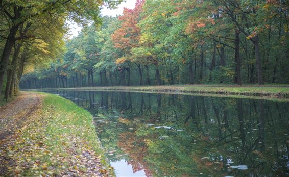 Herfstkleuren in Gelderhorsten - Lommel