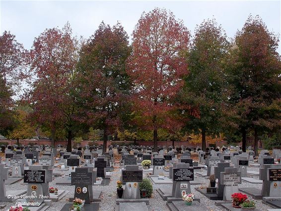Herfstkleuren op het kerkhof - Hamont-Achel