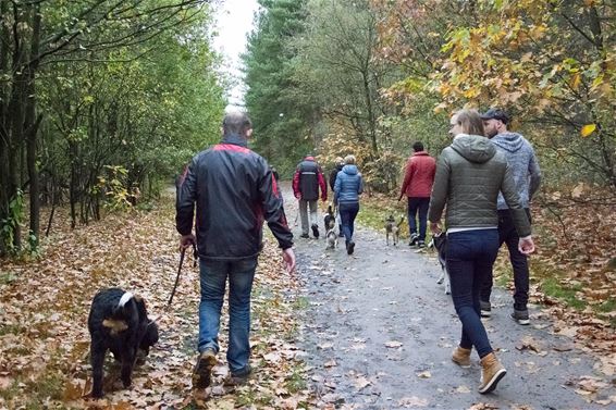 Herfstwandeling bij HADOG - Hamont-Achel