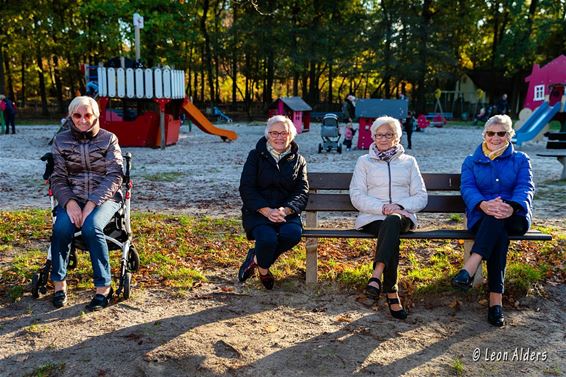 Herfstzon aan de Scoutsrally - Pelt