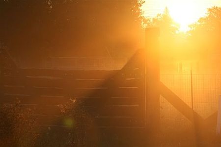 Herfstzon kleurt de dag - Overpelt