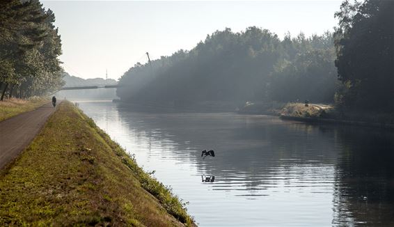 Herfstzonnetje in de Blekerheide - Lommel