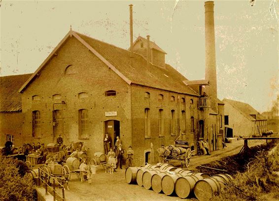 Herinneringen: jeneverstokerij Heidebloem - Neerpelt