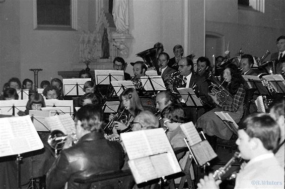 Herinneringen: Kempenbloei in 1976 - Hamont-Achel