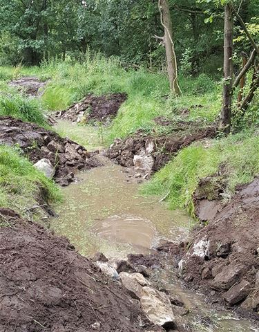 Herinrichting Dommel en Kleinbeek