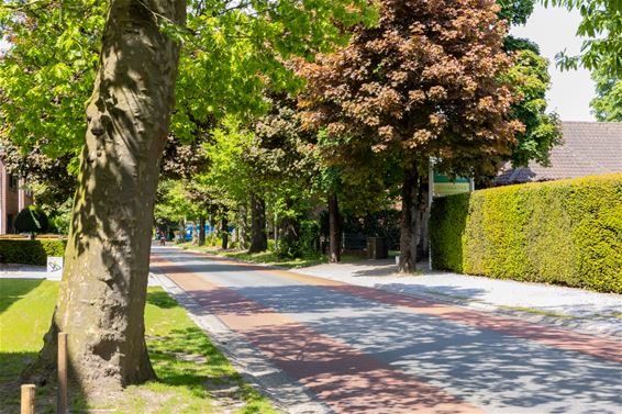 Herinrichting rondweg start eind van de zomer - Lommel