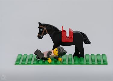 Bree - Herken jij het spreekwoord? (10)