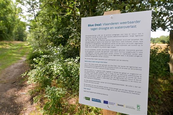 Herstel Gortenloopvallei gestart in het Hobos - Pelt