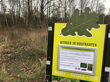 Herstel houtkanten en trage wegen - Beringen