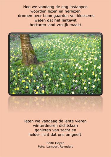 Het begin van de lente - Beringen & Leopoldsburg