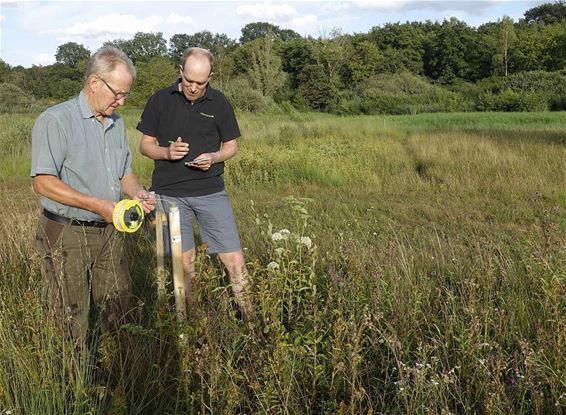 Het belang van een goed waterpeil - Peer & Oudsbergen