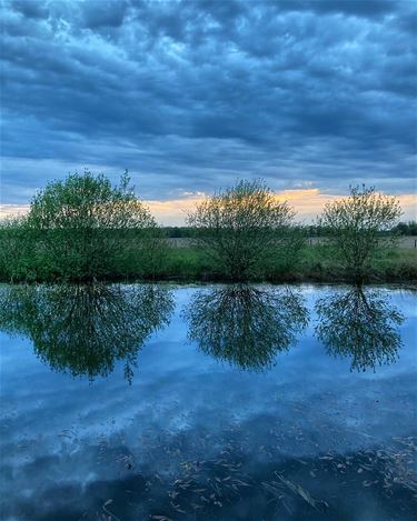 Het blauwe uur - Bocholt