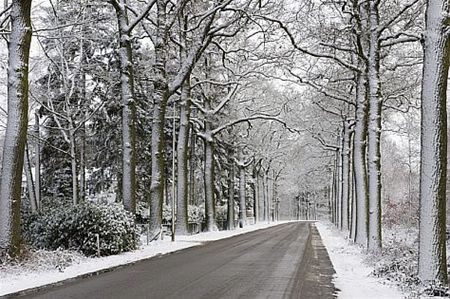 Het blijft winteren - Hamont-Achel