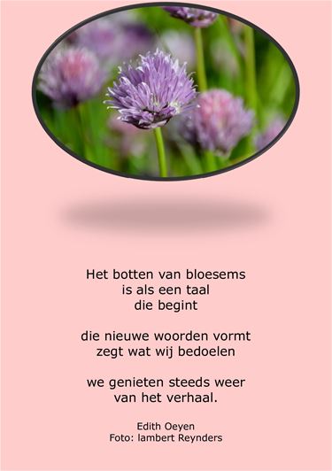 Het botten van bloesems - Beringen