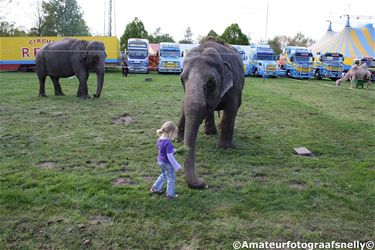 Het circus is er - Hamont-Achel