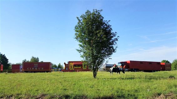 Het circus is in 't stad - Lommel