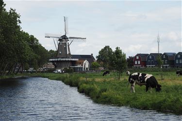 Het einde van de vakantie - Beringen