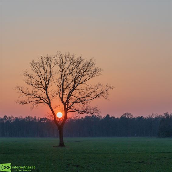 Het einde van een mooie lentedag - Pelt