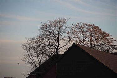 Het einde van een tijdperk - Beringen