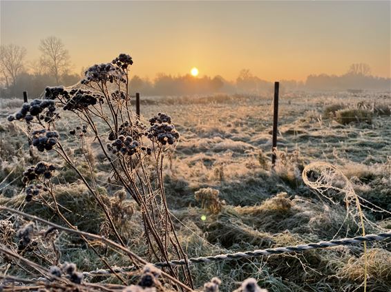 Het gaat goed met de Vallei van de Zwarte Beek - Beringen