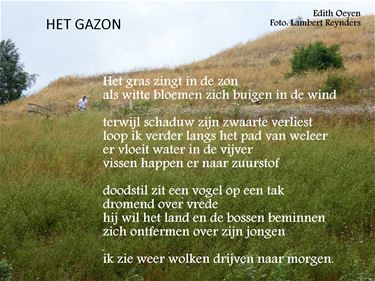 Het gras zingt in de zon - Beringen