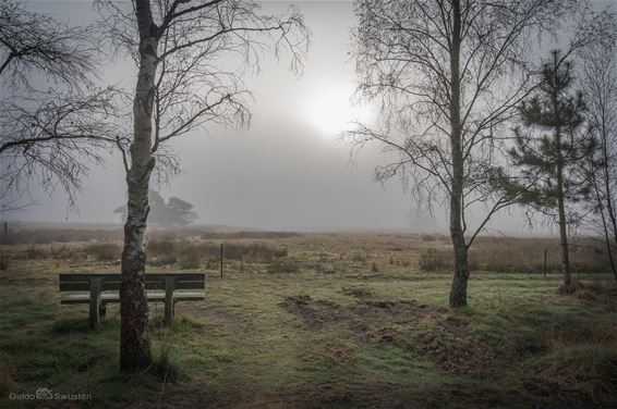 Het Hageven: elke maand anders (april '25) - Pelt