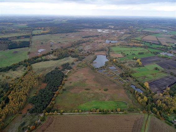 Het Hageven in de herfst - Neerpelt