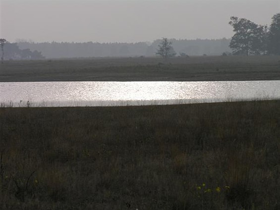 Het Hageven in de herfst - Neerpelt