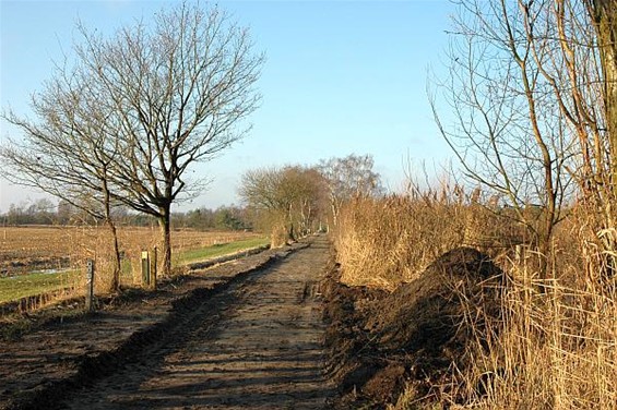 Het Hageven nu ook voor rolstoelgebruikers - Neerpelt