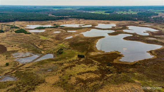 Het Hageven vanuit vogelperspectief - Pelt