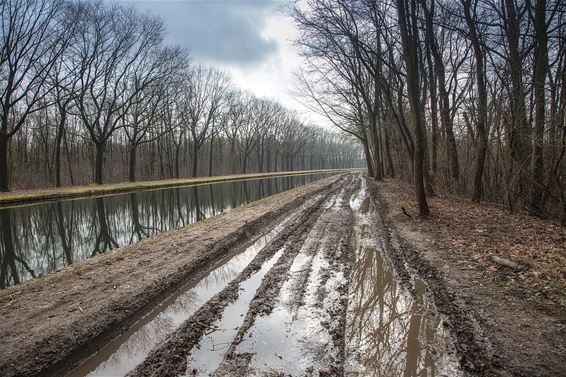 Het heeft blijkbaar geregend... - Lommel