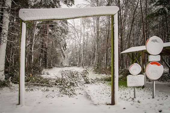 Het heeft gesneeuwd (2) - Overpelt