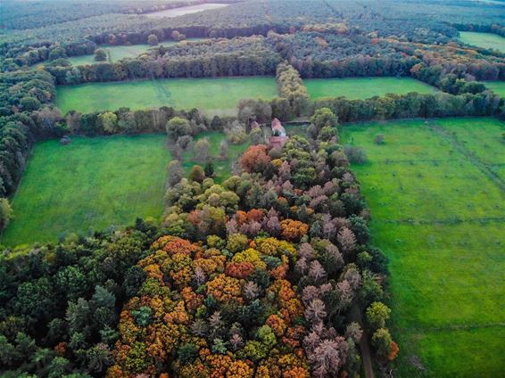 Het Hobos, vanuit de lucht - Overpelt