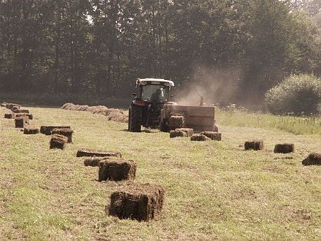 Het hooi is binnen - Lommel