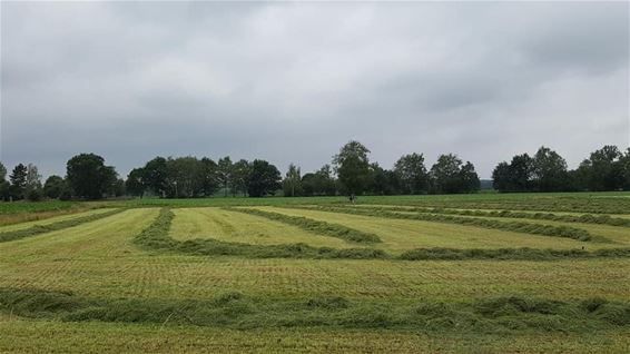 Het is hooitijd - Lommel