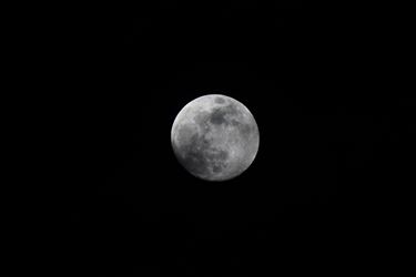 Het is nooit volle maan van de eerste dag - Beringen & Leopoldsburg