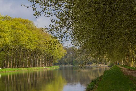 Het kanaal - meer dan alleen een waterweg - Hamont-Achel & Pelt