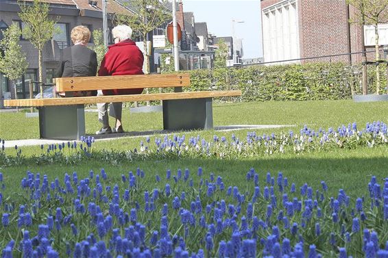 Het lentegevoel... - Overpelt