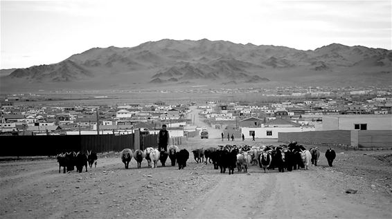 Het leven in Mongolië - Overpelt