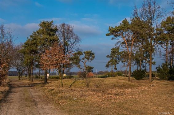 Het ligt er weer keurig bij - Neerpelt