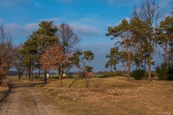 Het ligt er weer keurig bij - Neerpelt