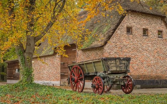 Het Molenmuseum in de herfst - Pelt