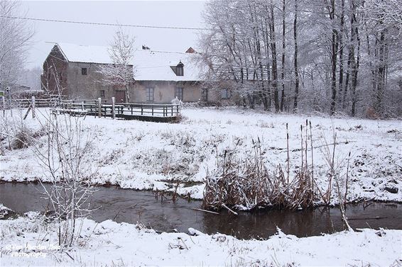 Het Mulke in de ochtendsneeuw - Hamont-Achel