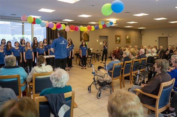 Het Muziekfestival is gestart - Pelt