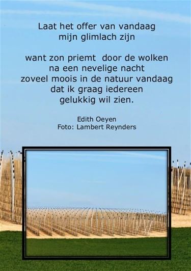 Het offer van vandaag - Beringen & Leopoldsburg