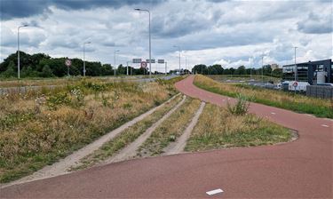 Het olifantenpaadje