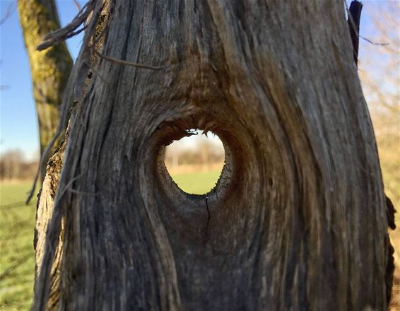 Het oog van Neerpelt - Neerpelt