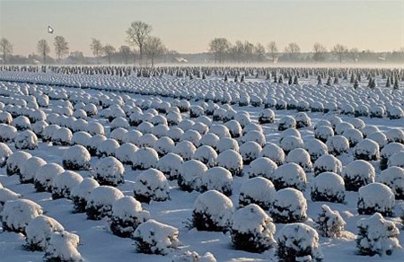 Het oog van Rik - Neerpelt