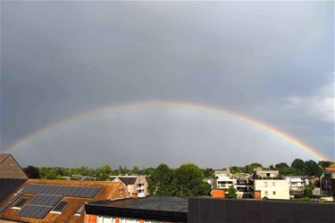 Het regende regenbogen - Beringen